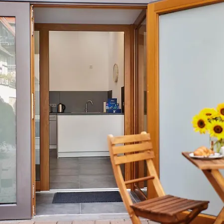 Apartamento Ajko Homes - Loft-apartment Mit Parkplatz Bei Heidelberg *